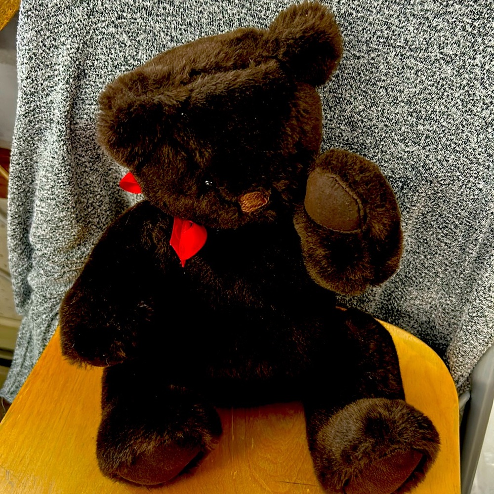 Bear from New Hampshire